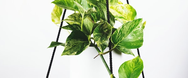 世界杯金靴奖热门候选人梅西在比赛中带球 - 身穿阿根廷10号球衣